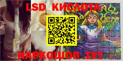шишки Краснознаменск