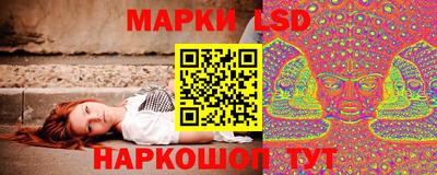 шишки Краснознаменск