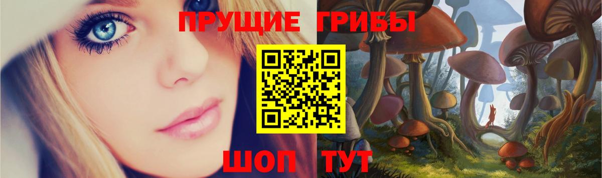 Псилоцибиновые грибы Magic Shrooms Югорск